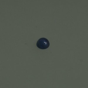 10160042.jpg